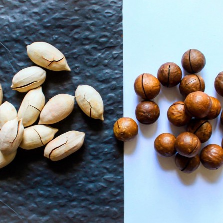 Пекан VS Макадмія. Що вибрати?