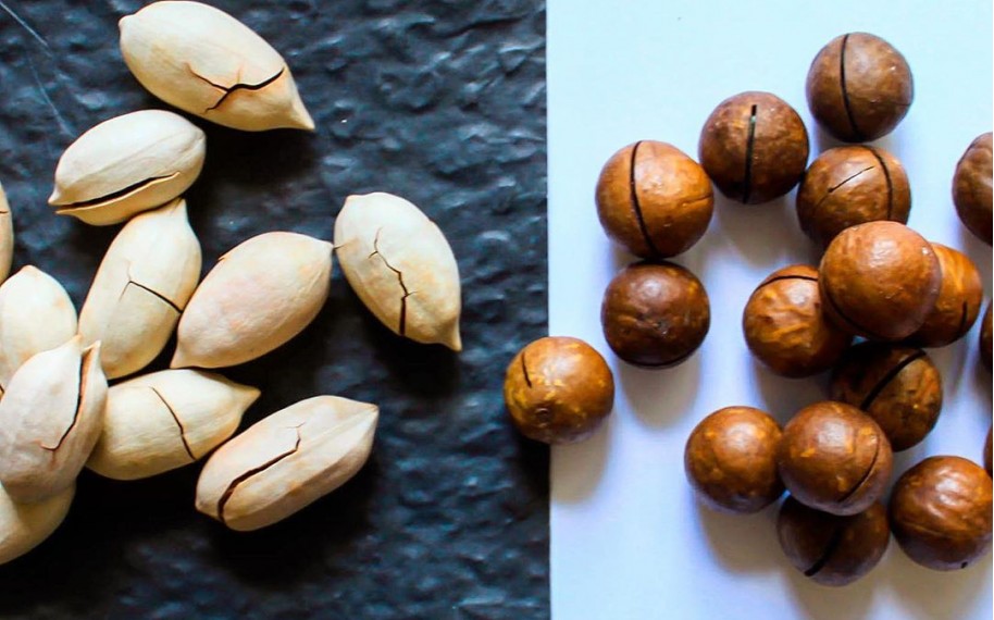 Пекан VS Макадмія. Що вибрати?