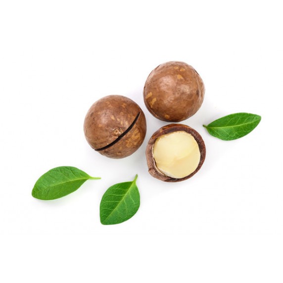 Макадамія в кожурі